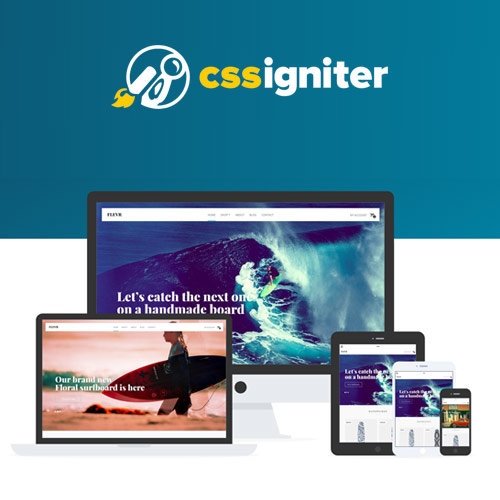 CSS Igniter Flevr Woocommerce Theme