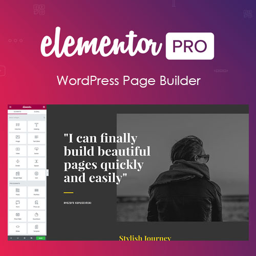 elementor pro wordpress page builder 1