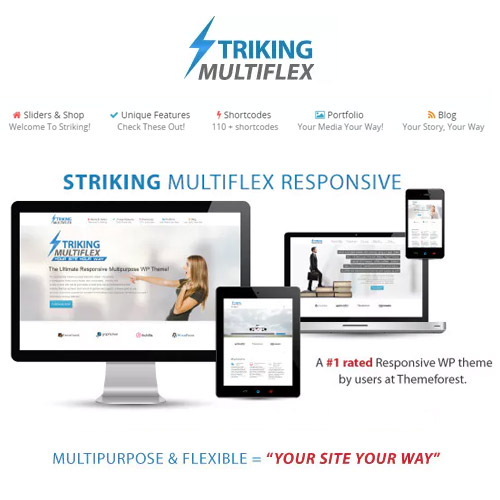 Striking MultiFlex & Ecommerce Responsive WP Theme